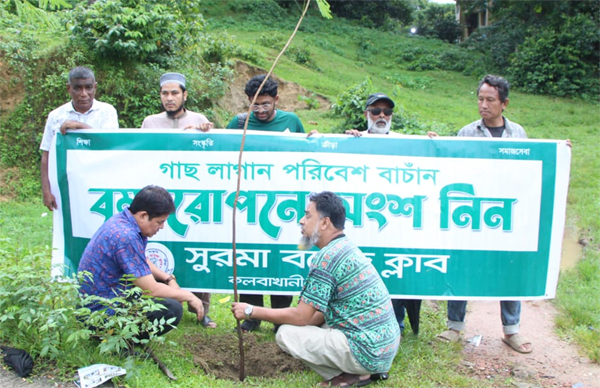 সুরমা বয়েজ ক্লাবের উদ্যোগে বৃক্ষরোপণ