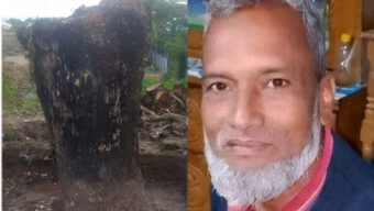 ওসমানীনগরে সামাজিক বনায়নের গাছ কেটে নিয়ে যাচ্ছে চক্র: ভুয়া চালানে ইউএনওকে বিভ্রান্ত করার চেষ্টা