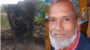ওসমানীনগরে সামাজিক বনায়নের গাছ কেটে নিয়ে যাচ্ছে চক্র: ভুয়া চালানে ইউএনওকে বিভ্রান্ত করার চেষ্টা 