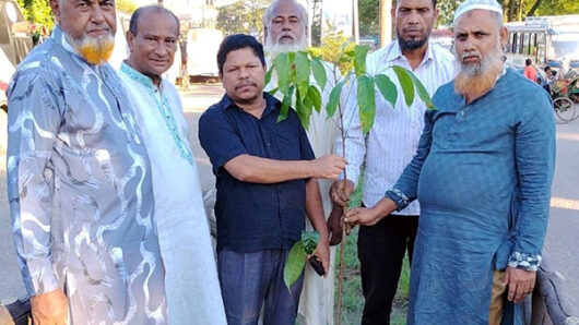 বন্ধণ সমাজ উন্নয়ন সংস্থার বৃক্ষরোপণ কর্মসূচি পালিত