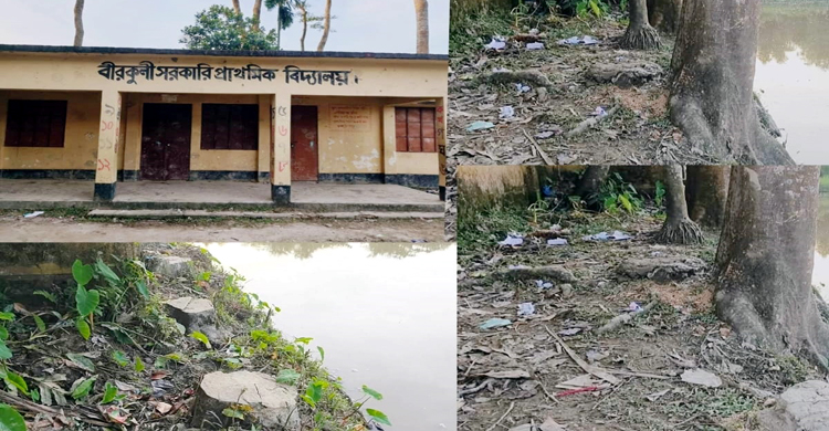সরকারি বিদ্যালয়ের ৫০ হাজার টাকার গাছ উধাও
