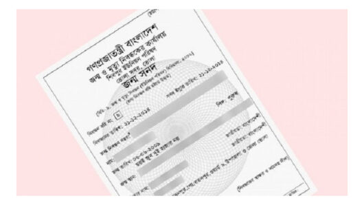 সংশোধনের অপেক্ষায় হাজারো জন্মনিবন্ধন, জকিগঞ্জে দপ্তরে দপ্তরে ঘুরছেন মানুষ