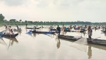 সরকারি ইজারাকৃত জলমহালকে উন্মুক্ত ঘোষণা, মাছ লুটের অভিযোগ বিএনপি নেতার বিরুদ্ধে