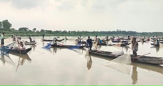 সরকারি ইজারাকৃত জলমহালকে উন্মুক্ত ঘোষণা, মাছ লুটের অভিযোগ বিএনপি নেতার বিরুদ্ধে