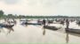 সরকারি ইজারাকৃত জলমহালকে উন্মুক্ত ঘোষণা, মাছ লুটের অভিযোগ বিএনপি নেতার বিরুদ্ধে 