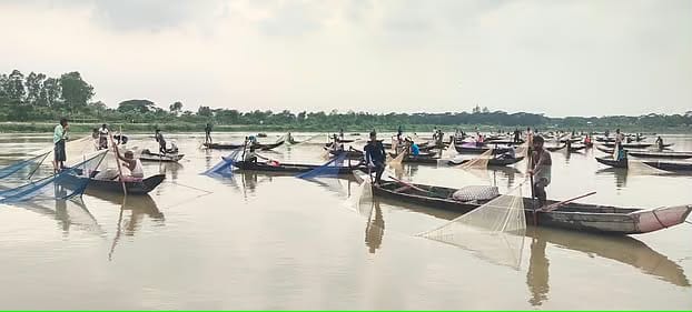 সরকারি ইজারাকৃত জলমহালকে উন্মুক্ত ঘোষণা, মাছ লুটের অভিযোগ বিএনপি নেতার বিরুদ্ধে